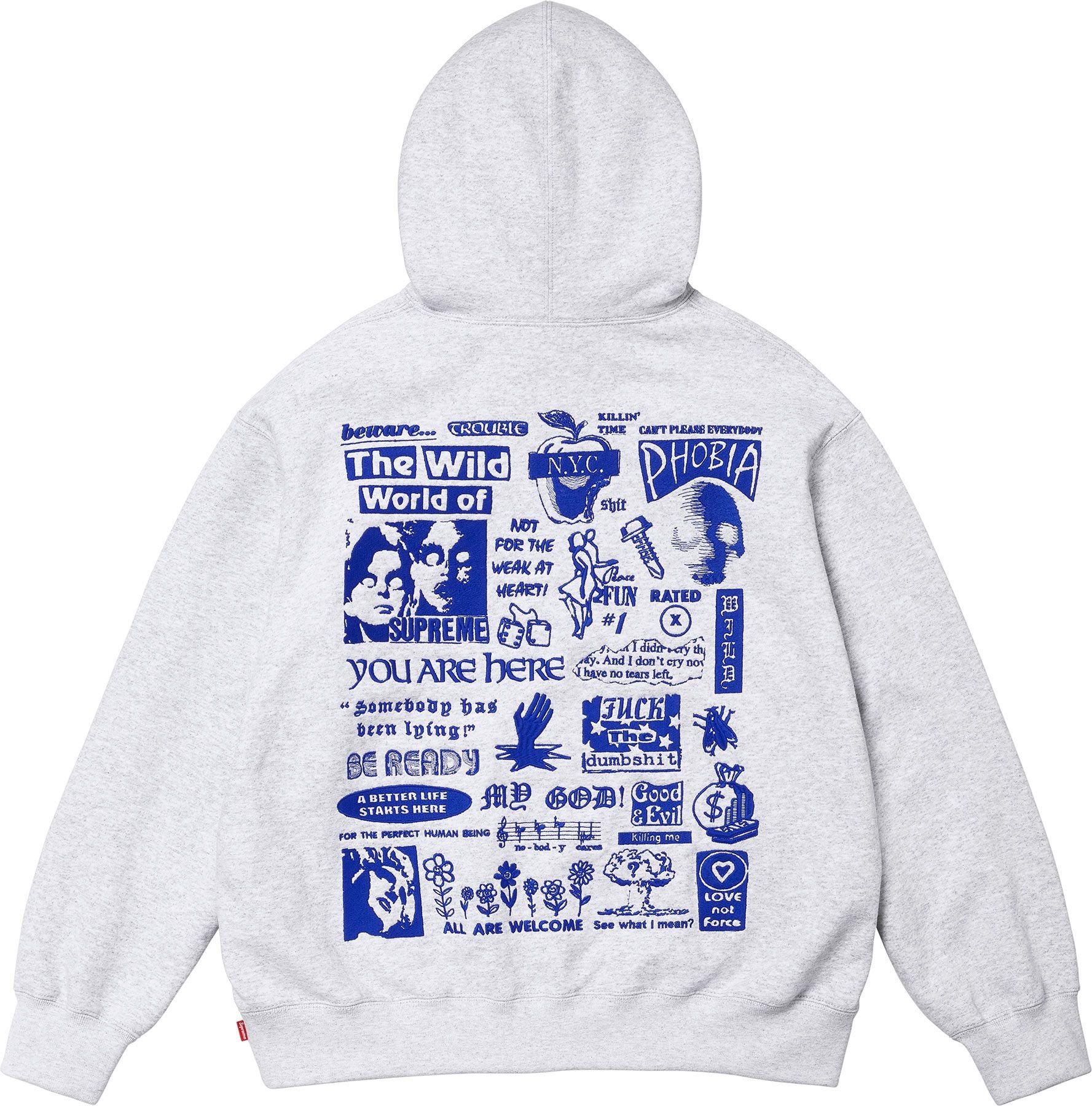 Wild Embroidered Hooded Sweatshirt view 9